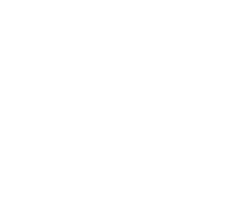Lucid Cannabis